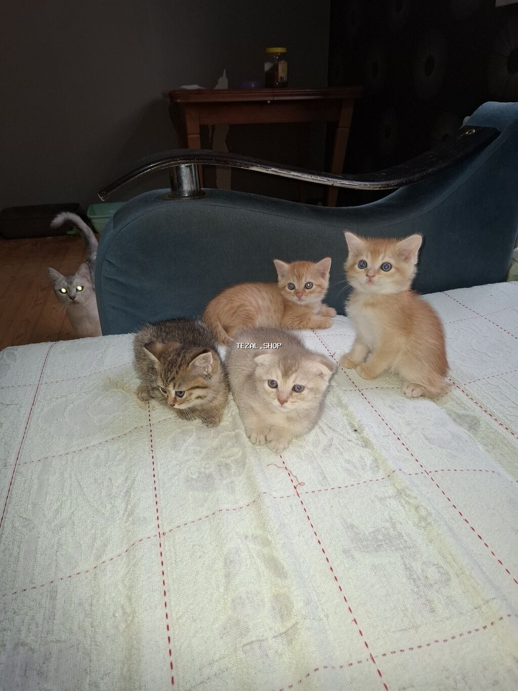 Ünvandan götürmə
