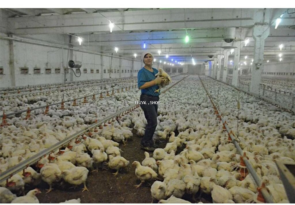 SALAM! ELANI DİQQƏTLƏ VƏ AXIRA KİMİ OXUYUN SONRA YIĞIN!!!