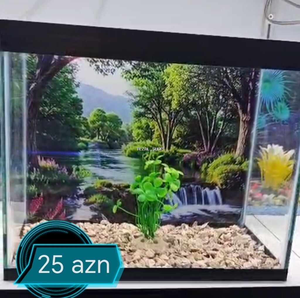 Akvaryum dekor seti - Şüşə akvarium üçün dekorativ fon: çay və meşə