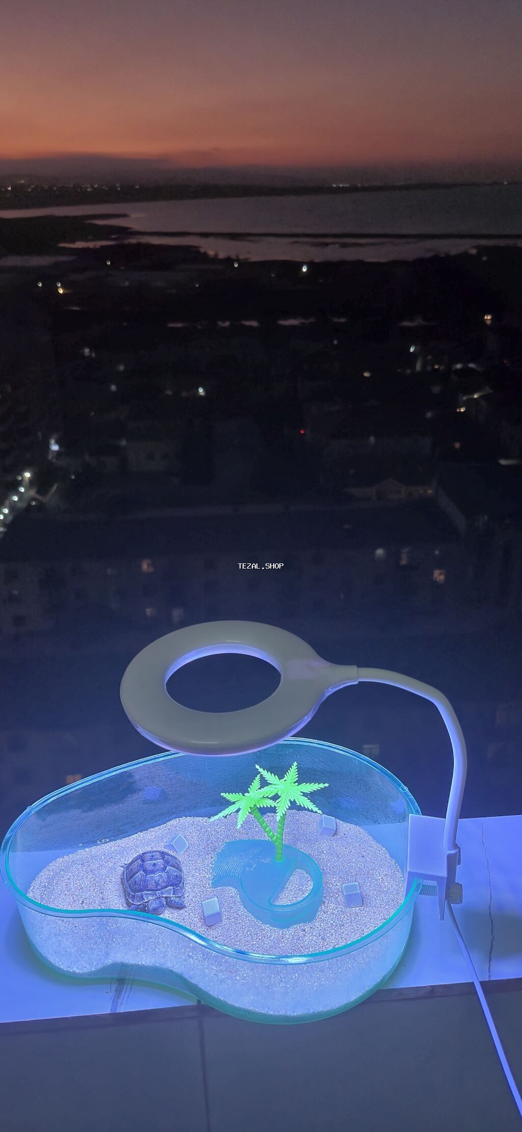 Mini tısbağa üçün dekorativ akvaterrarium və LED masa lampası dəsti -
