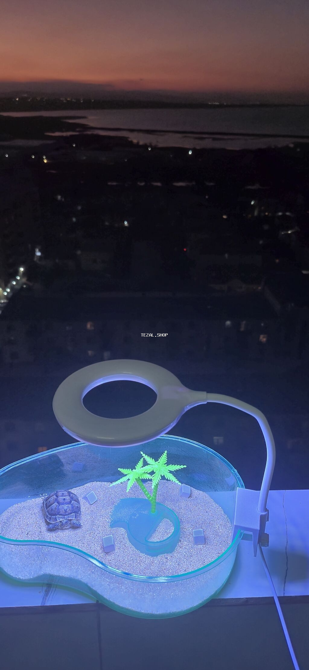 Mini tısbağa üçün dekorativ akvaterrarium və LED masa lampası dəsti - - şəkil 2