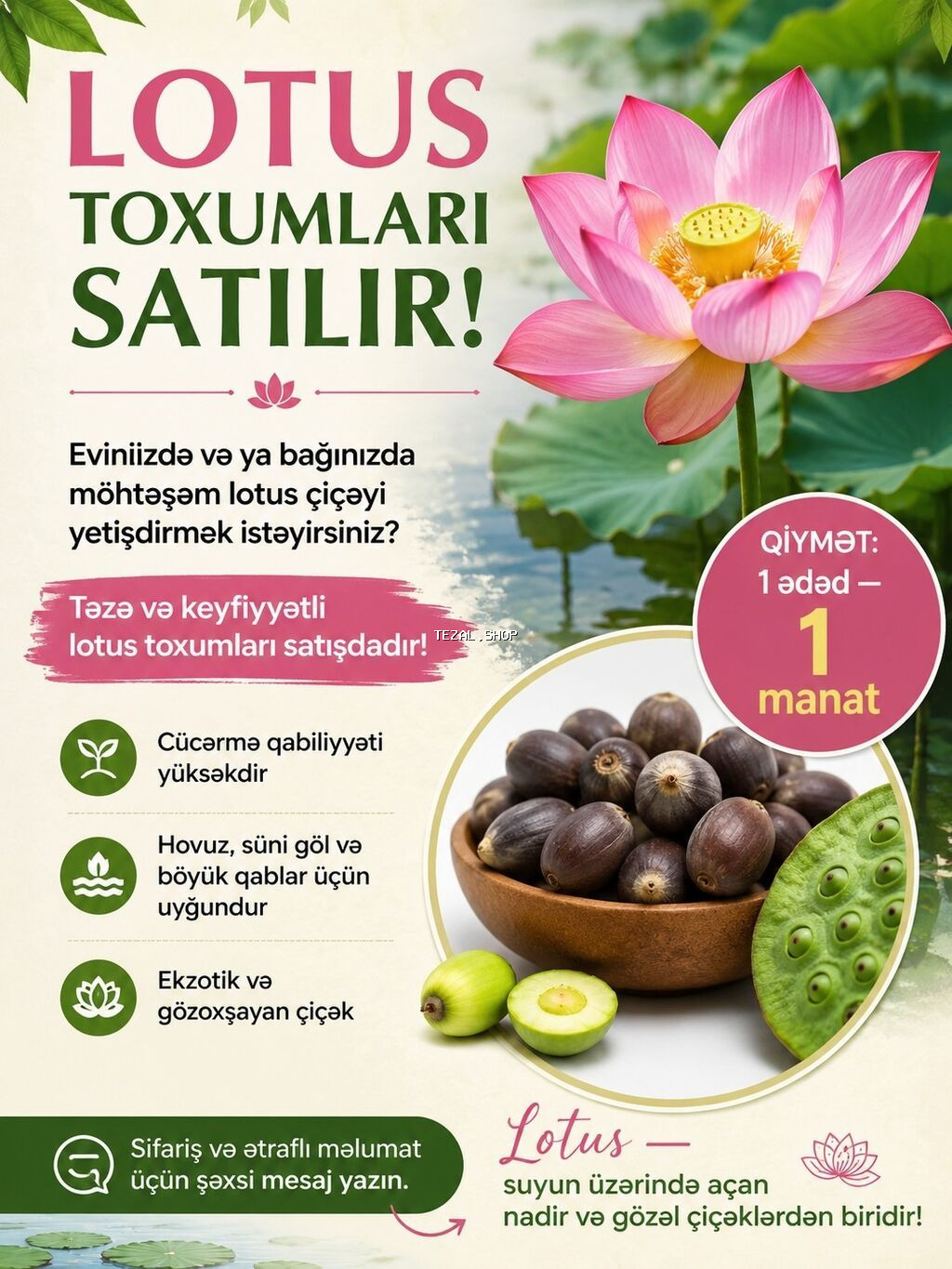 Lotos toxumu gətirdiy biri 1 manat, bazara gətirə bilərəm