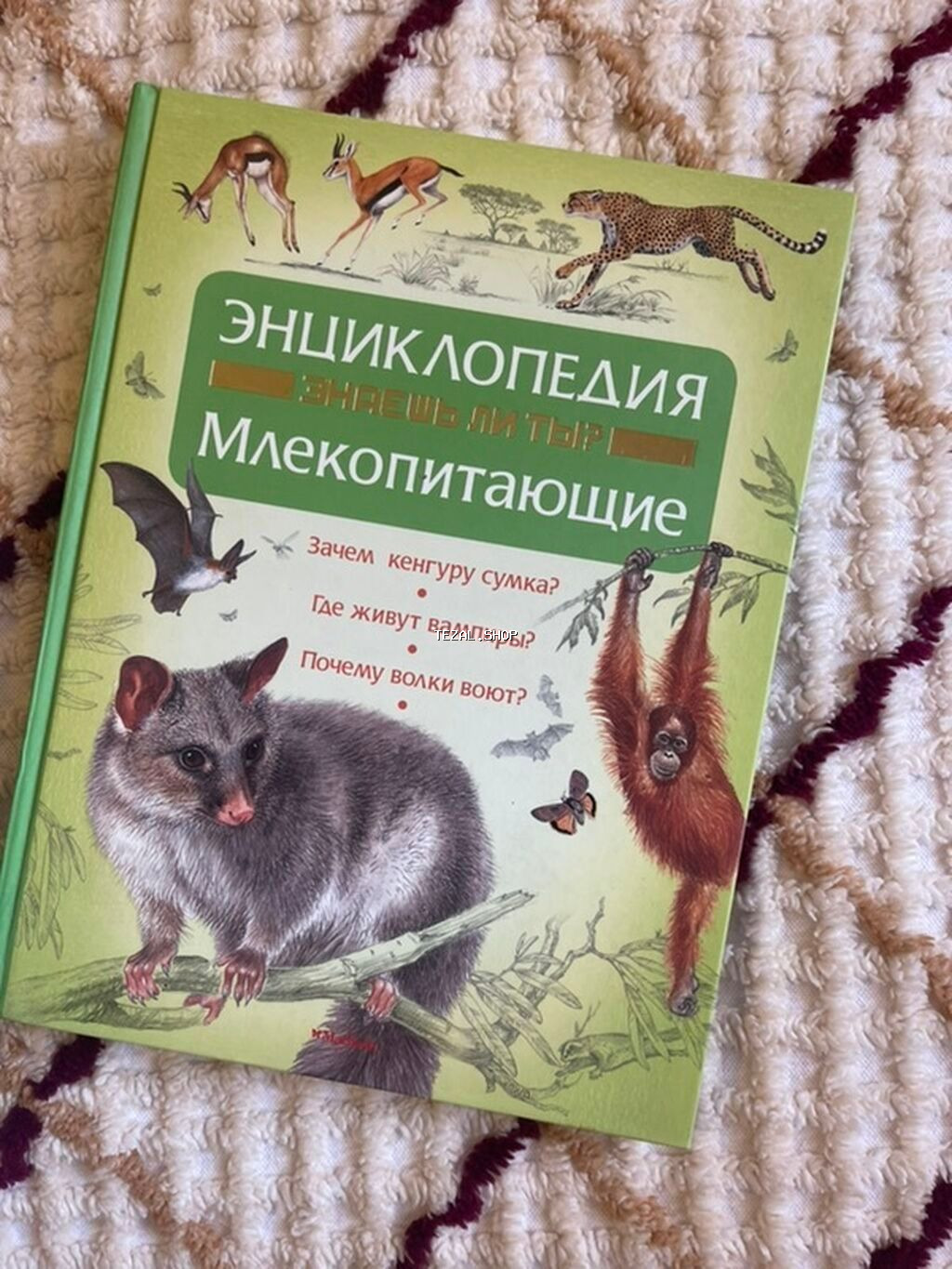Энциклопедия про Млекопитающих 
3 манатa Bakı — TezAl.shop