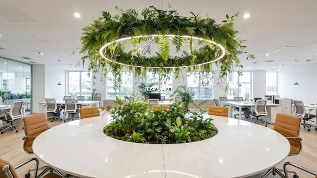 Green House Azerbaijan. Dekor interyer Kafe×restoranlar üçün - şəkil 2