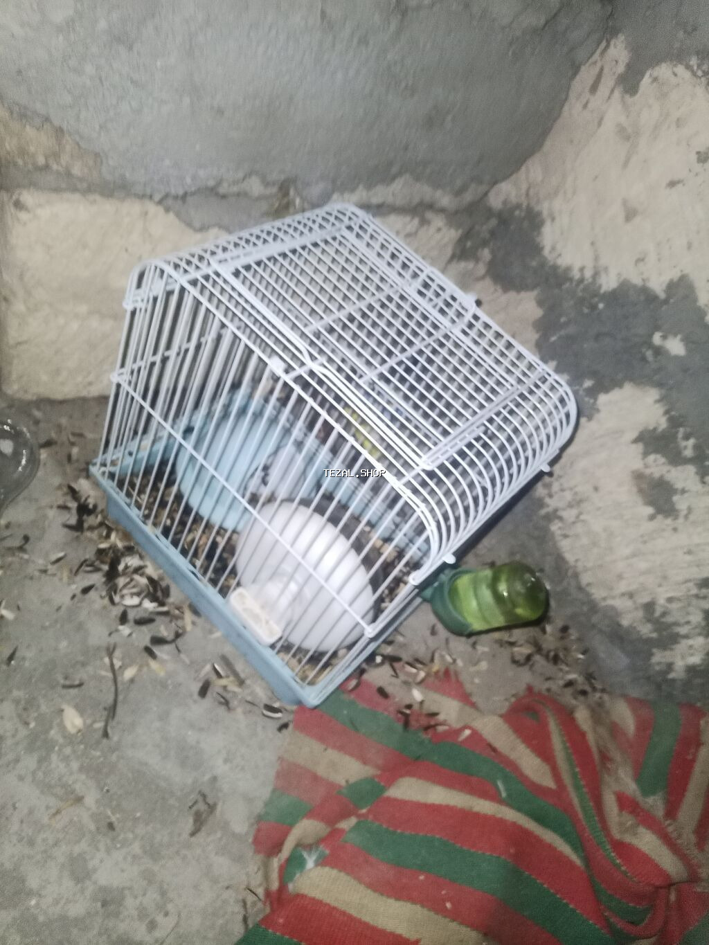 🐹 hamster bu qefesle 17m balaca bir qefes var onlada 12m isdiyen desin - şəkil 2