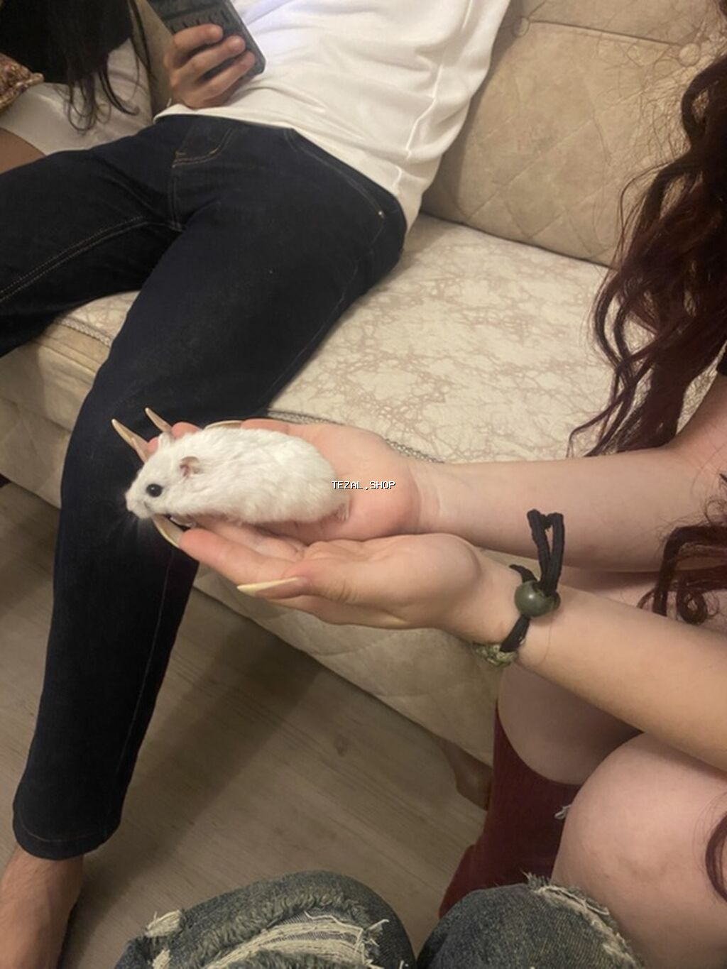 İki ədəd hamster satlr .Biri ağ,biri boz.Ustundə ikimərtəbəli - şəkil 3