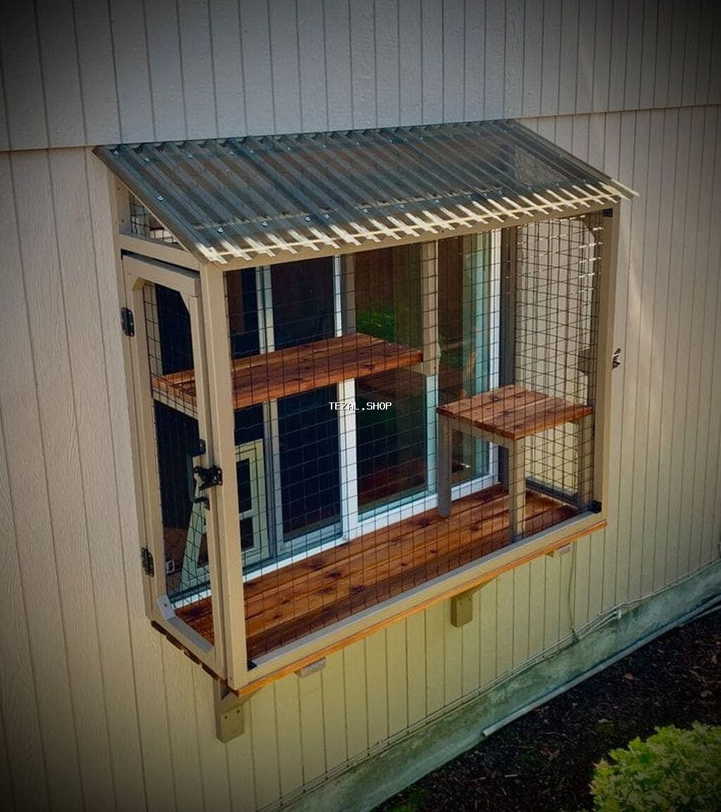 Pəncərə üçün “catio” – pişiklər üçün açıq, təhlükəsiz balkon-kafes - Digah — TezAl.shop
