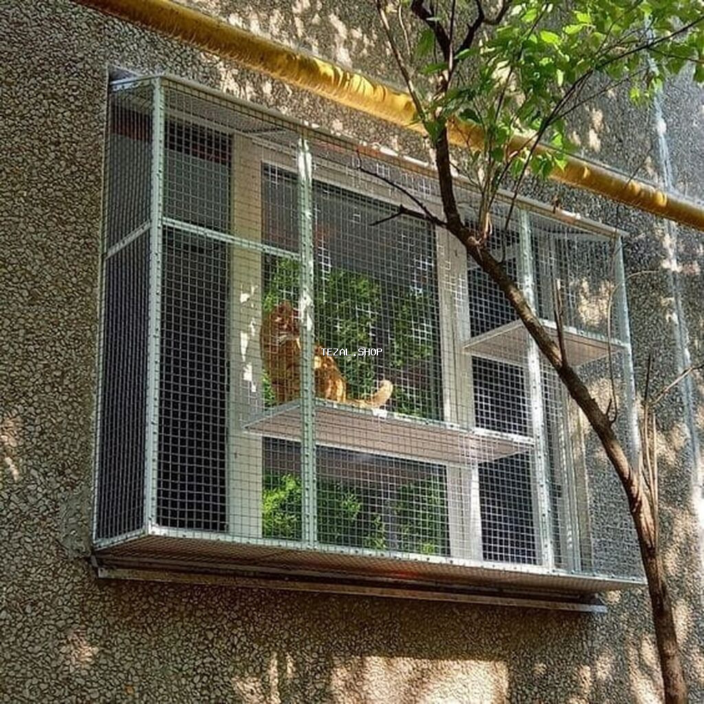 Pəncərə üçün “catio” – pişiklər üçün açıq, təhlükəsiz balkon-kafes - - şəkil 3
