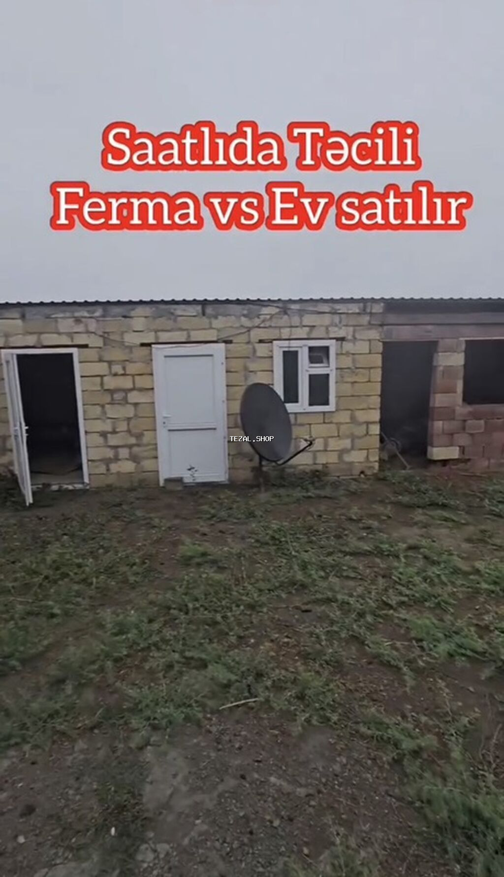 Satılır: Saatlı rayonu, Bəylər kəndində ferma və yaşayış evi kompleksi - şəkil 5