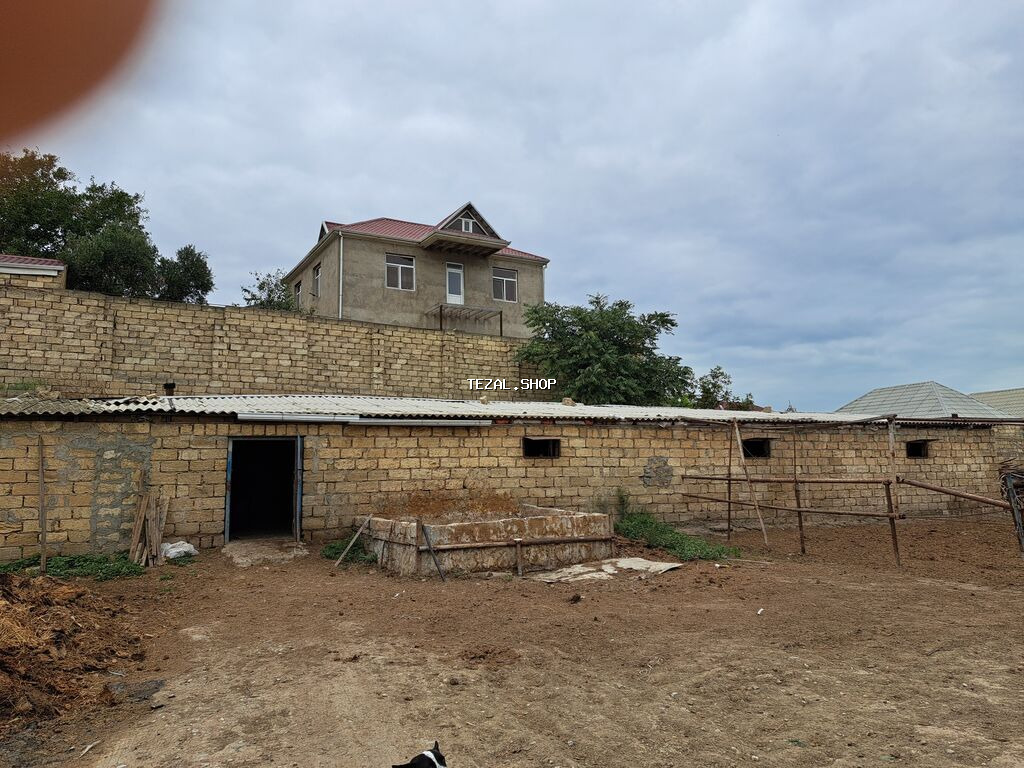 Mal-qara üçün hazır ferma tövləsi QIYMETI RAZILASMAQ YOLU ILE 40 bas Digah — TezAl.shop