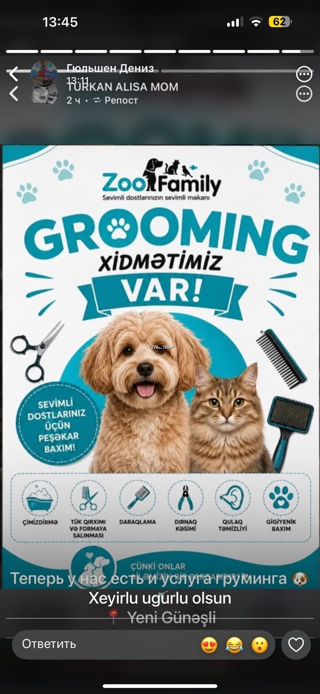 ZooFamily – itlərin və pişiklərin peşəkar grooming xidməti -