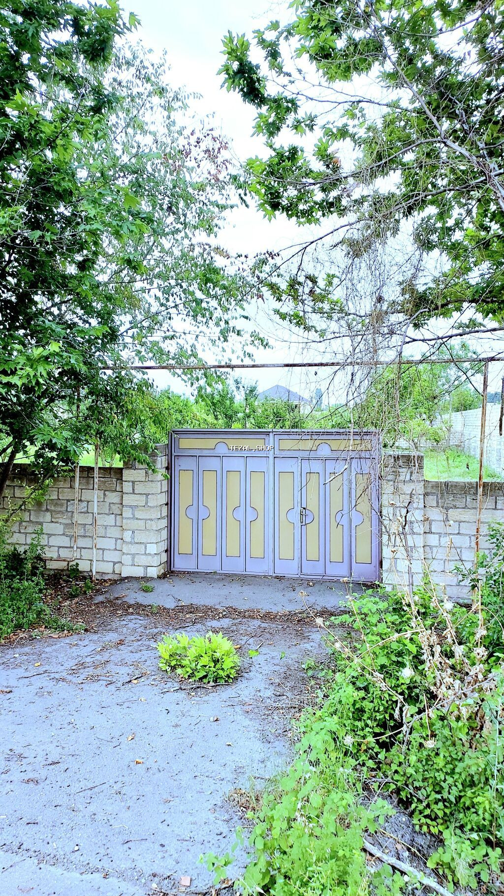 24 sot, Tikinti, Mülkiyyətçi, Kupça (Çıxarış) Göyçay — TezAl.shop
