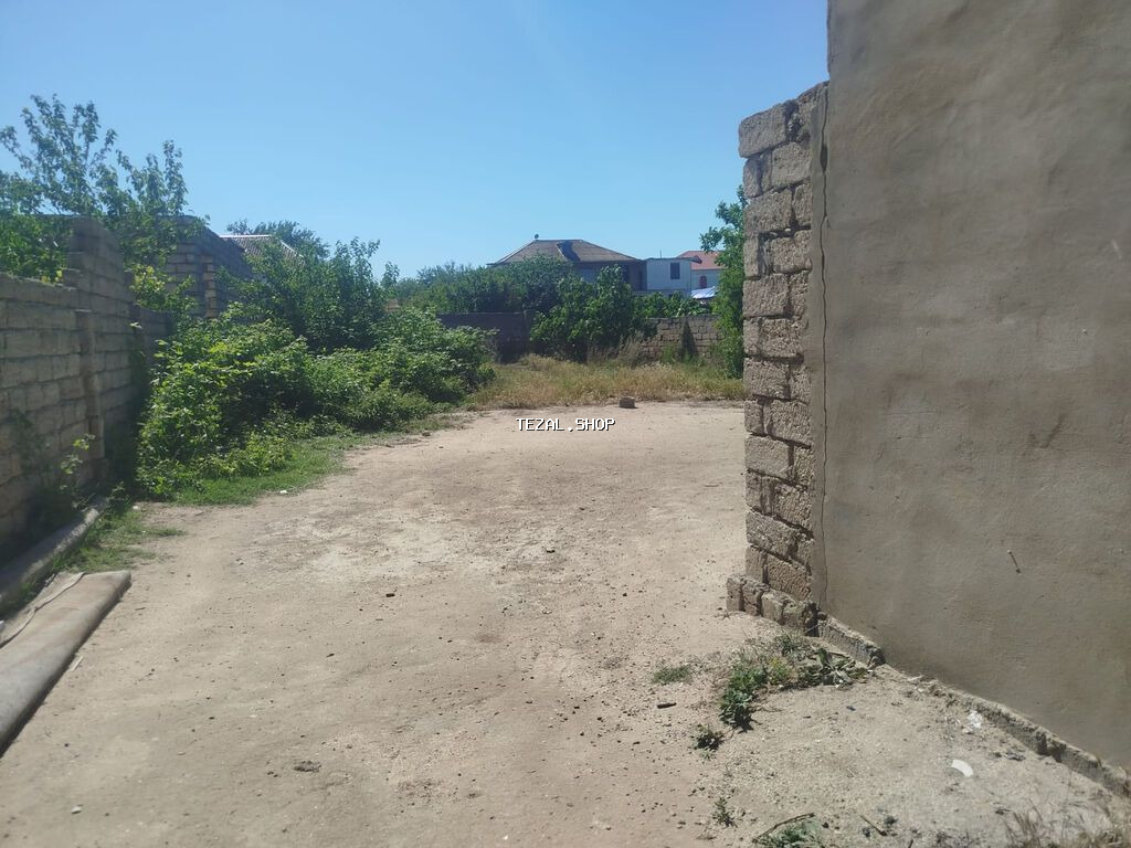 5 sot, Tikinti, Kupça (Çıxarış) - şəkil 4