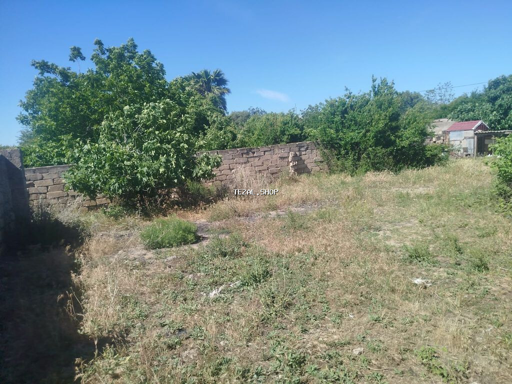 5 sot, Tikinti, Kupça (Çıxarış) - şəkil 5