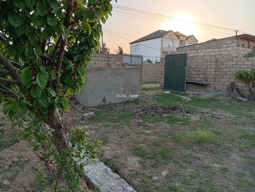 6 sot, Tikinti, Kupça (Çıxarış) - şəkil 3