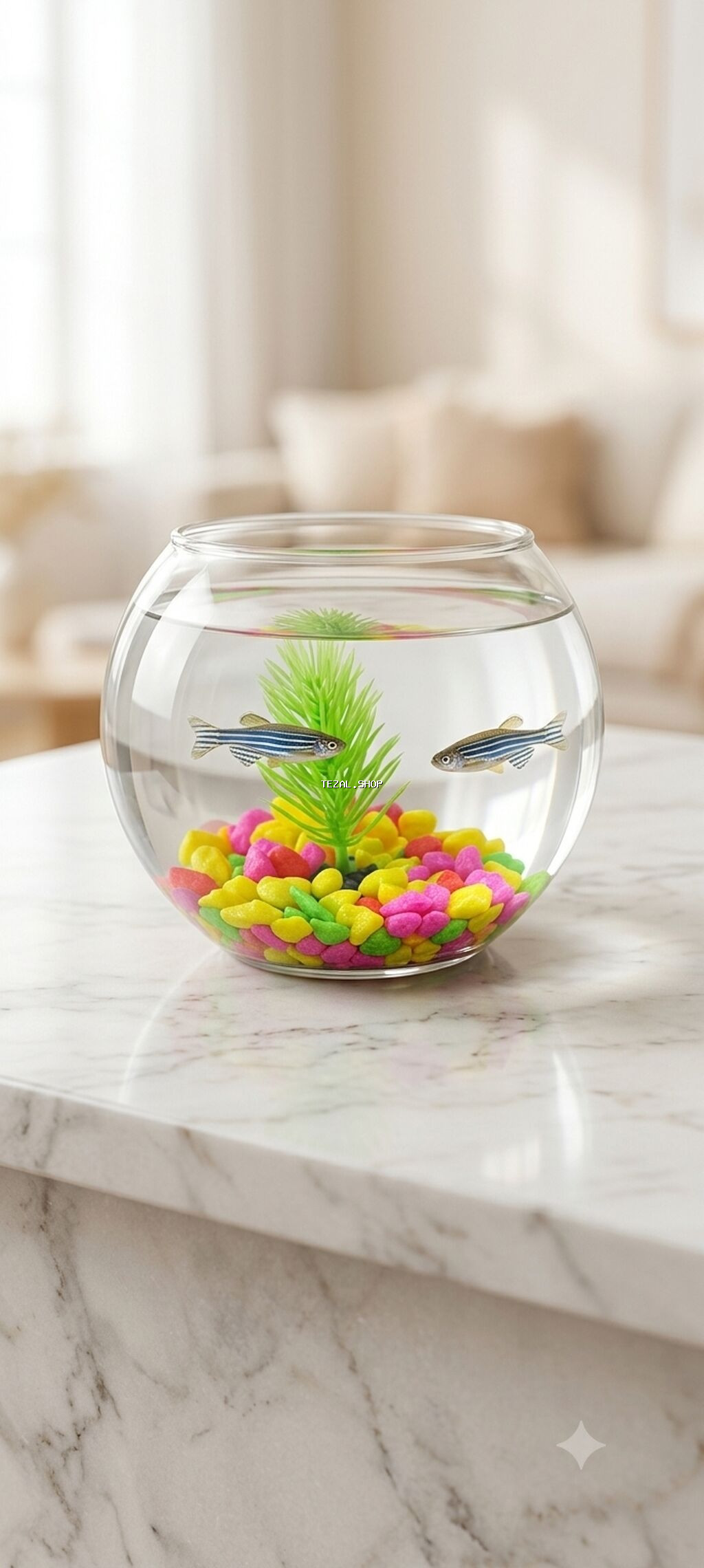 Mini Akvarium Dəsti Paketə daxildir: - 1 litr şüşə akvarium (qabarıq - şəkil 2