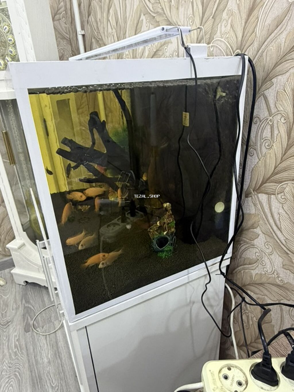 Akvarium-şkaf, Boş, 150 l, Ünvandan götürmə - şəkil 2