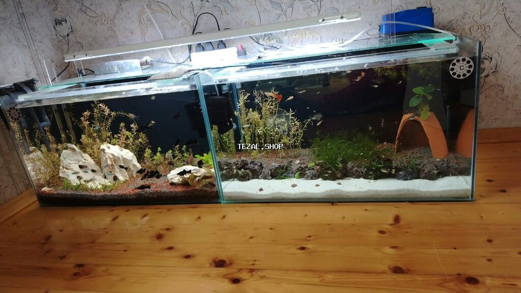 Dördbucaq akvarium, Balıqlarla birlikdə, 120 l, Ödənişli çatdırılma