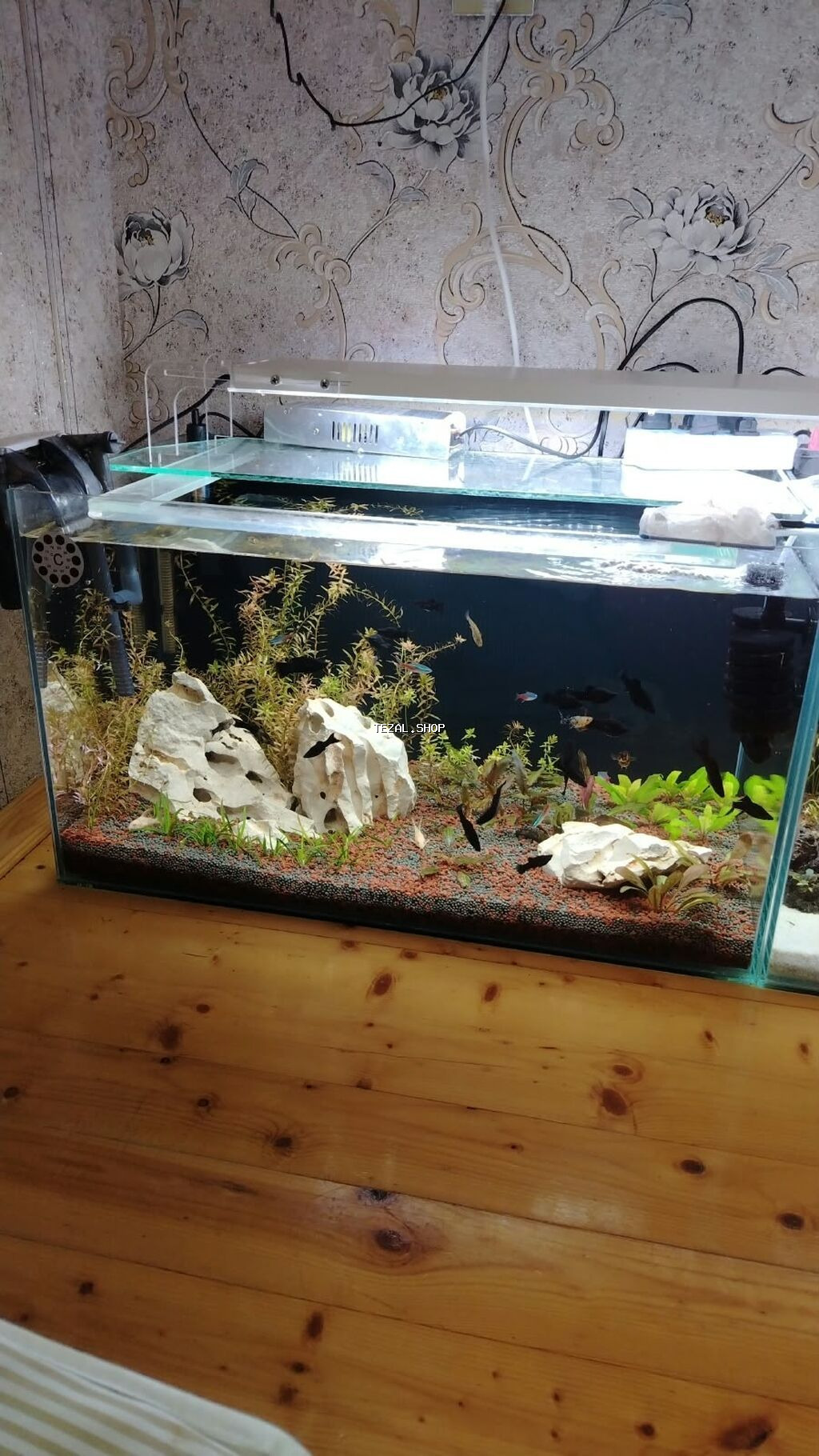Dördbucaq akvarium, Balıqlarla birlikdə, 120 l, Ödənişli çatdırılma - şəkil 2