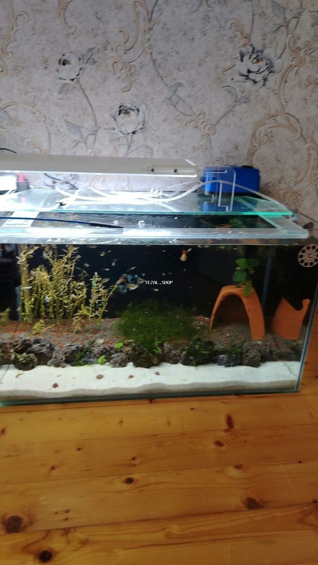 Dördbucaq akvarium, Balıqlarla birlikdə, 120 l, Ödənişli çatdırılma - şəkil 3