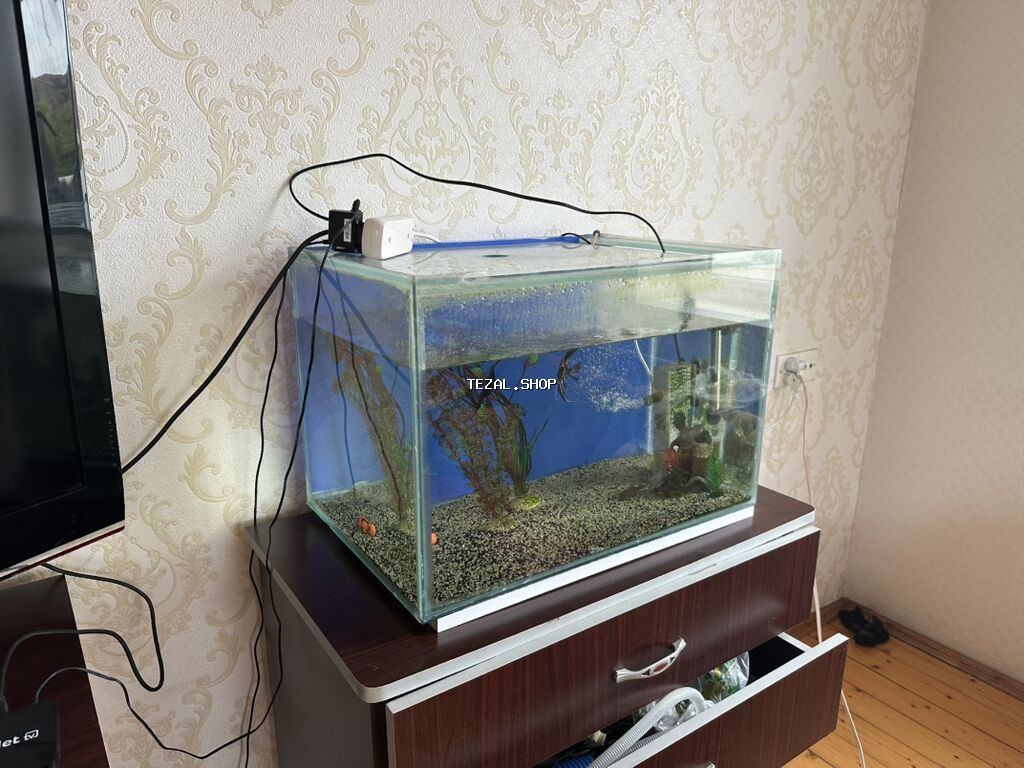 Akvaryum 100 lt filter bahalı isidici var içində hərşey var