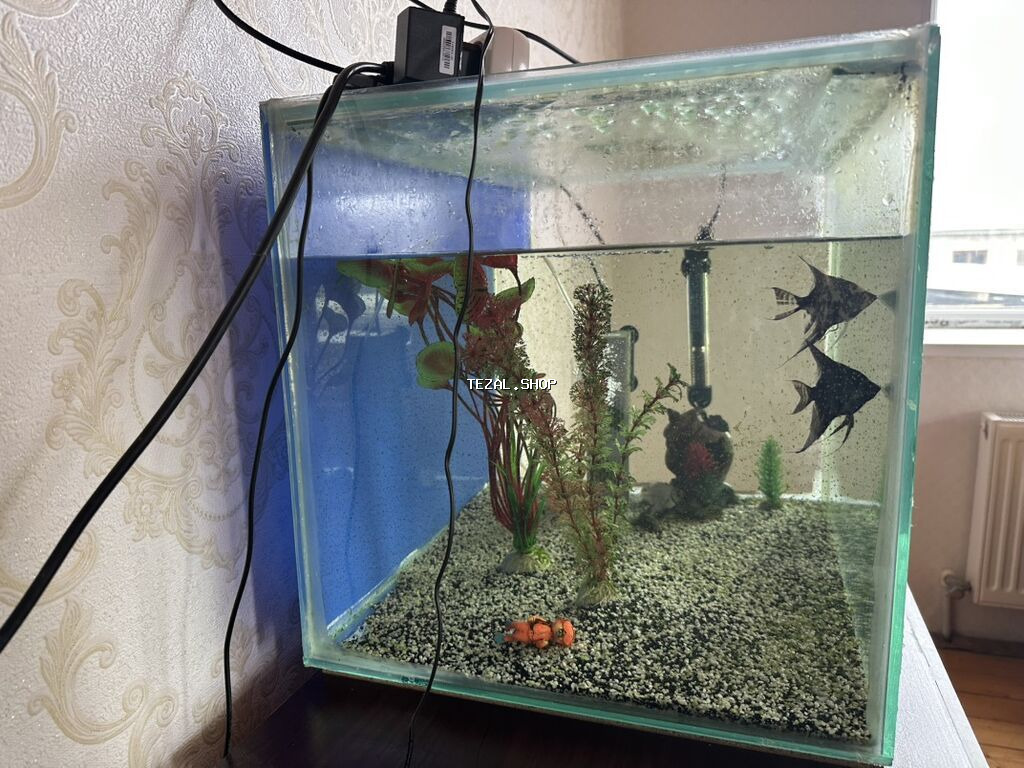 Akvaryum 100 lt filter bahalı isidici var içində hərşey var - şəkil 2