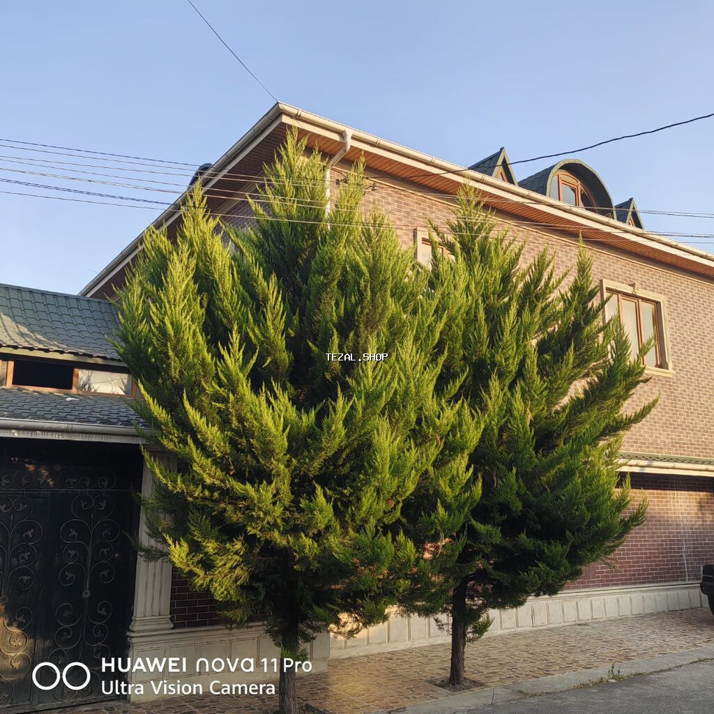 Xaçmaz, 450 kv. m, 7 otaqlı, Kombi, Qaz, İşıq - şəkil 3