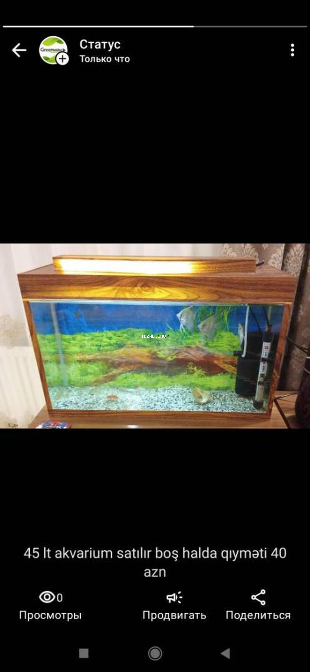 45 lt akvarium boş halda satılır qıyməti 35 azn. baliq saxlamaq olar