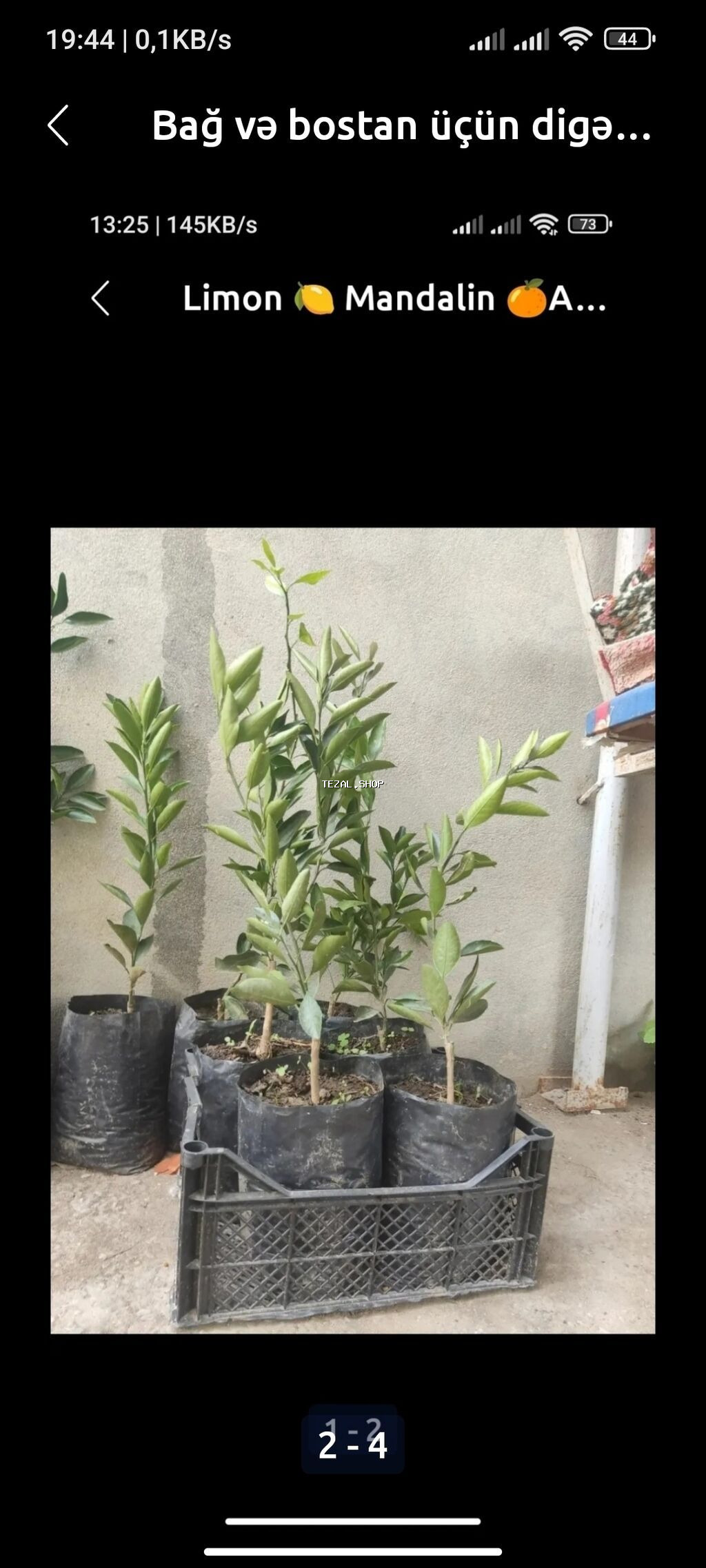 Limondan, mandarin və portağaldan ibarət sitrus bitkiləri, hər biri - şəkil 3