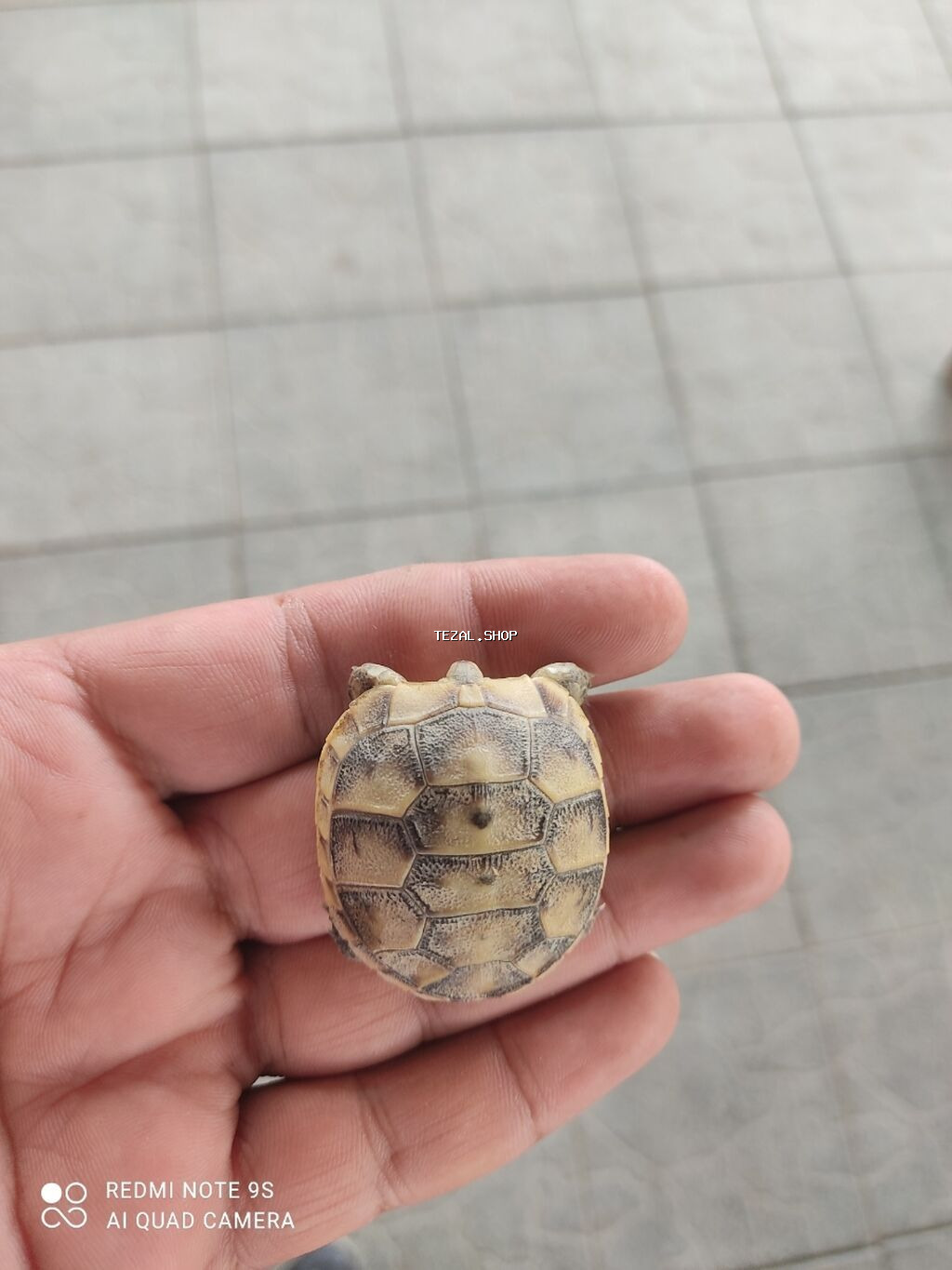Tək yanı bir ədəd alana 15 manat Optavoy alana endirim olacaq