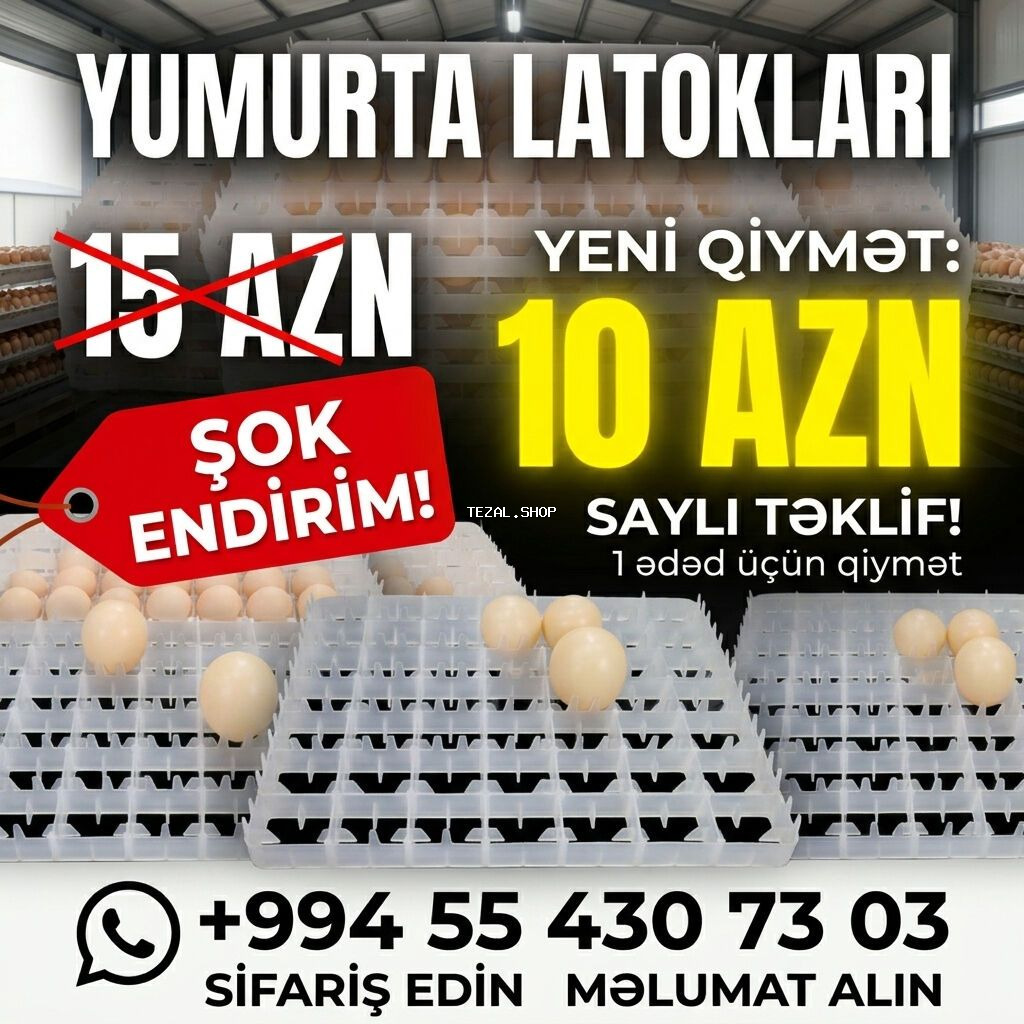 Çin, Fabrik istehsalı