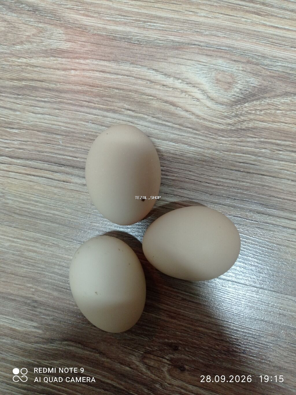 Heyet yutasi satilir 35q catirlma var - şəkil 4