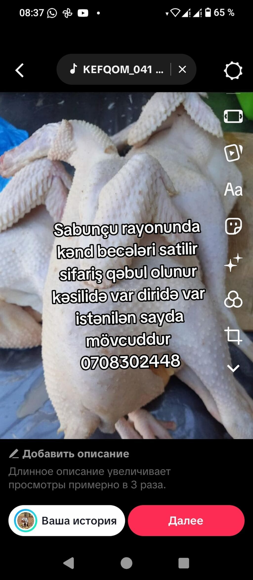 Təsvir: - Sabunçu rayonunda yetişdirilən kənd beçələri təklif olunur - şəkil 4