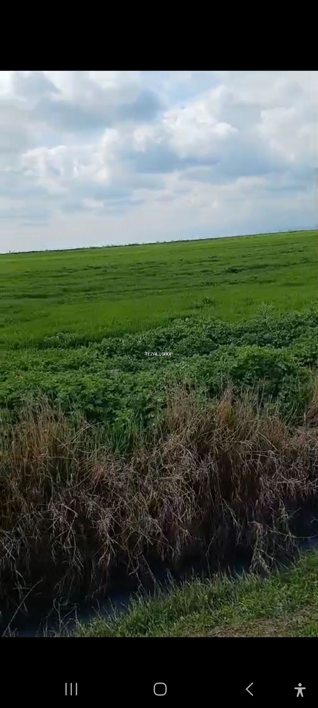 20000 sot, Kənd təsərrüfatı, Kupça (Çıxarış)