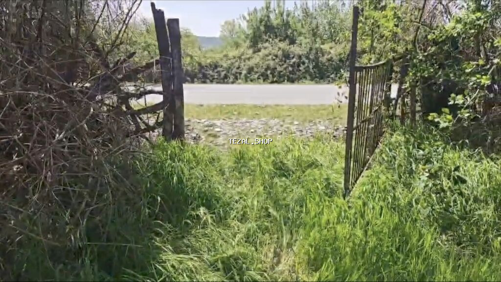 15 sot, Biznes üçün, Mülkiyyətçi, Kupça (Çıxarış) - şəkil 2