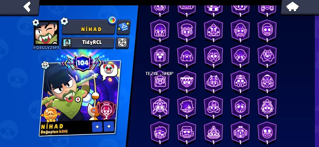 Brawl Stars oyun hesabı – yüksək səviyyəli və tam dolu profil -
