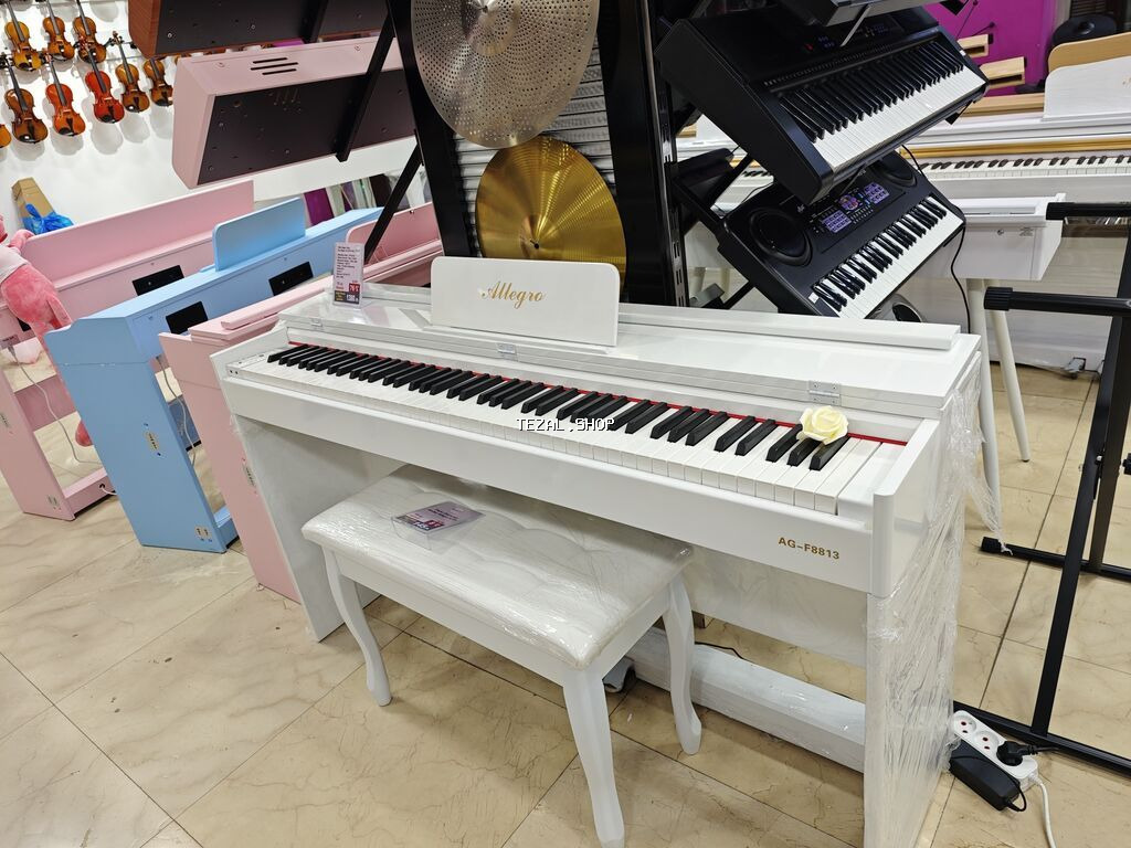 Elektron piano, elektro pianino, pianino Tam Oktava həcmində 88 - şəkil 4