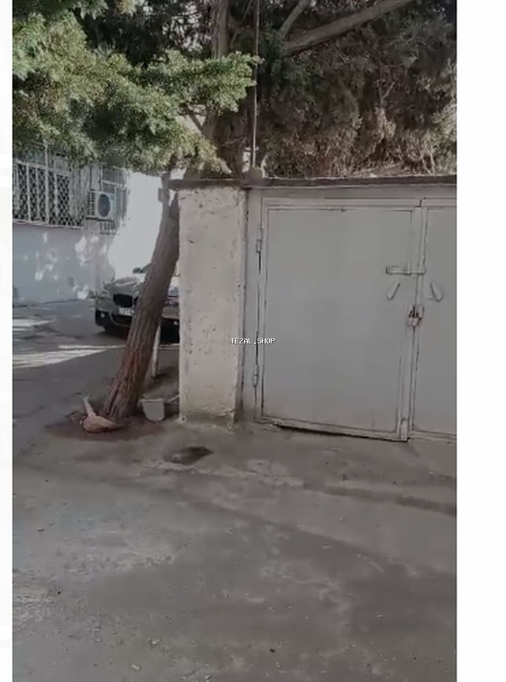 QARAJ ELMLƏRDƏ UNKLİNİKA NİN HƏYƏTİNDƏ QARAJ 160 MANAT