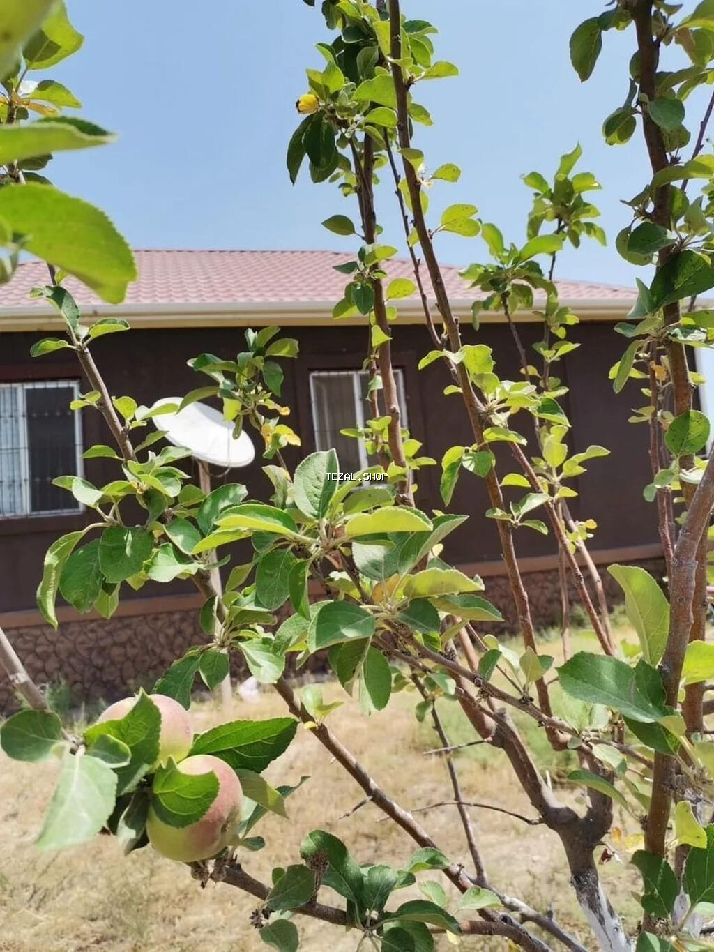 Bakı, Qala qəs., 115 kv. m, 3 otaqlı, Hovuzsuz, Kombi