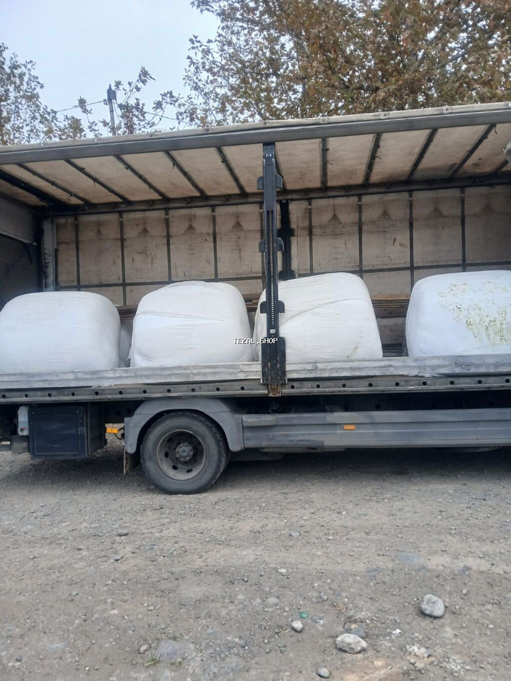 Çuğundur silosu heyvanların qidalanması üçün faydalı və enerji ilə - şəkil 3