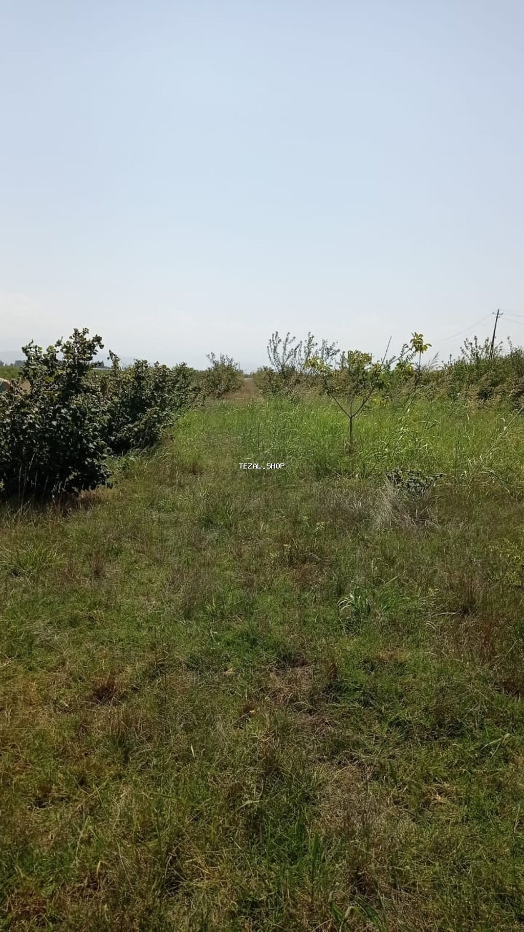 14 sot, Tikinti, Mülkiyyətçi, Kupça (Çıxarış) - şəkil 2