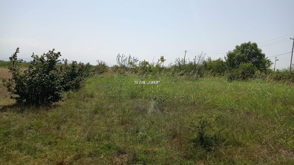 14 sot, Tikinti, Mülkiyyətçi, Kupça (Çıxarış) - şəkil 4
