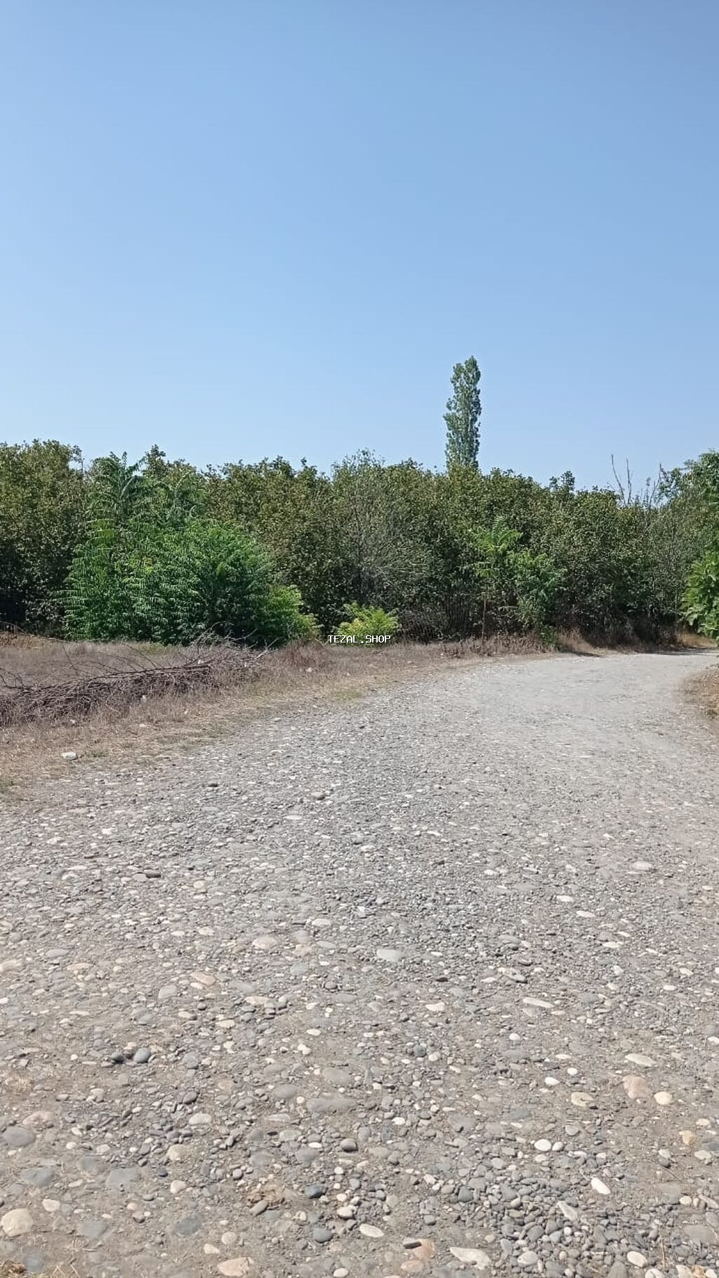 22 sot, Tikinti, Mülkiyyətçi, Kupça (Çıxarış) - şəkil 3