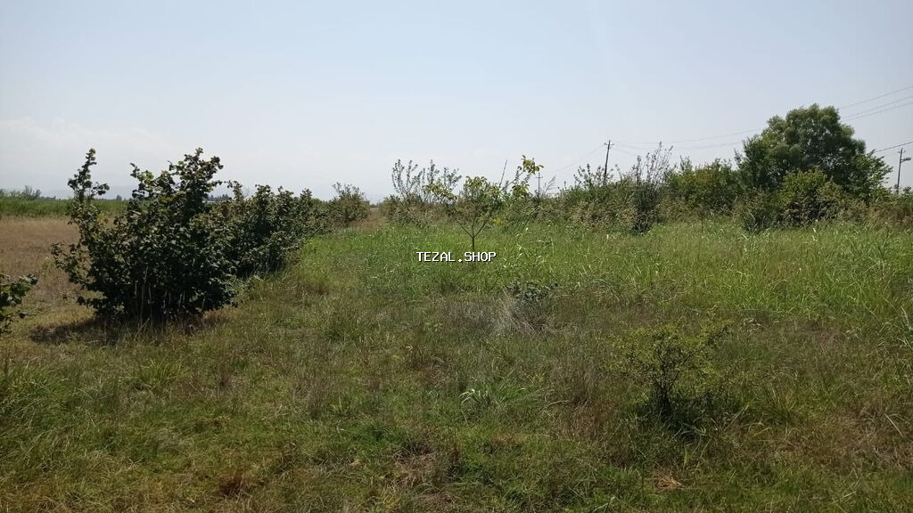 22 sot, Tikinti, Mülkiyyətçi, Kupça (Çıxarış) - şəkil 5