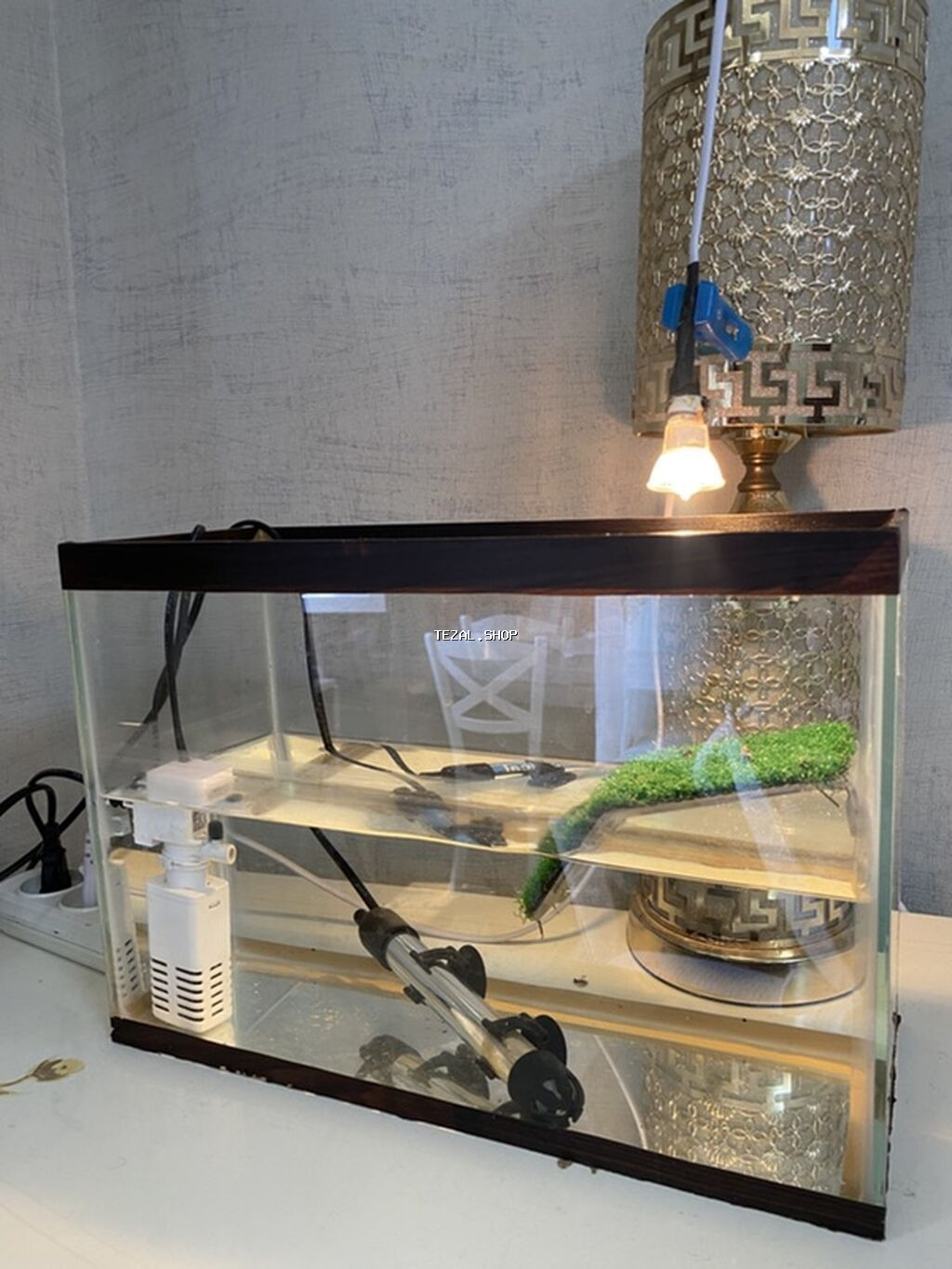 Tısbağa üçün Akvarium heç bir problemi yoxdur, 12 litr su tutur Sumqayıt — TezAl.shop